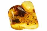 Detailed Fossil Spider (Aranea) In Baltic Amber #84591-1